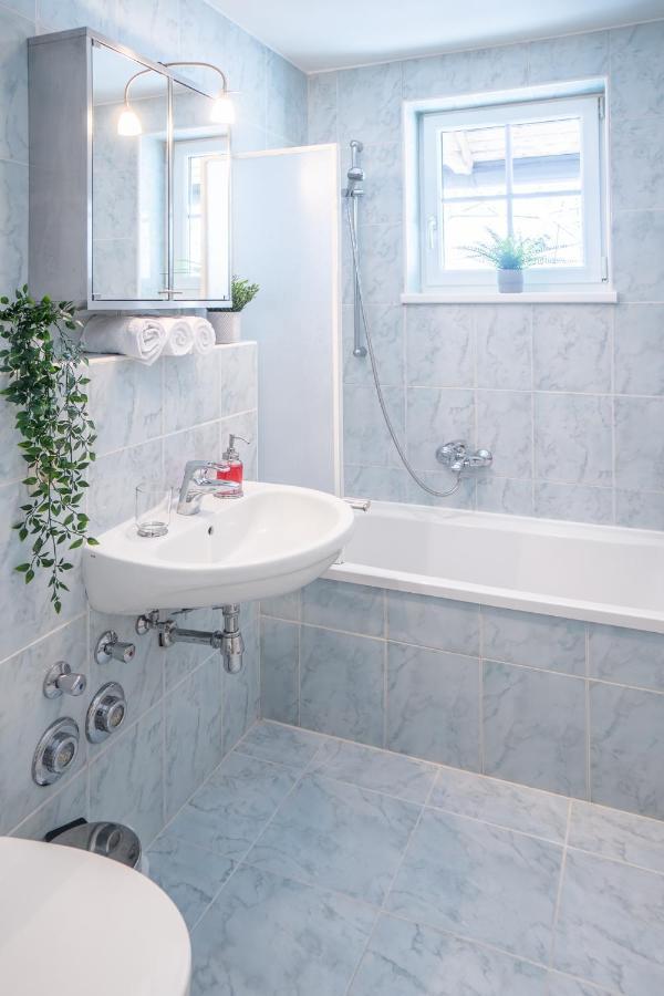 Schmitten & Cityxpress Apartment 1 And 2 Цел ам Зее Екстериор снимка